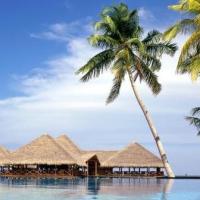 KingofRings