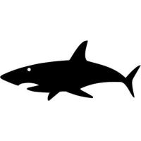 shark-ch